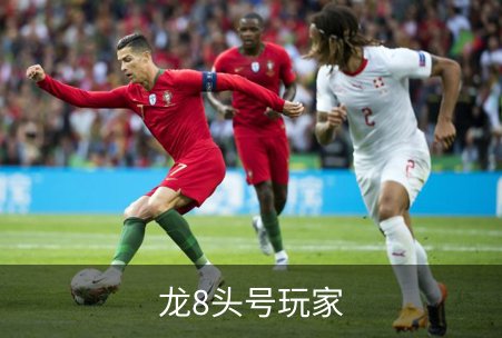 龙8头号玩家简介